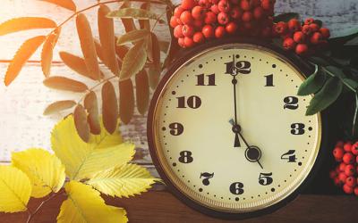 Autumn flora surrounds a clock displaying 5 o'clock
