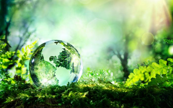 Glass globe among plants and trees
