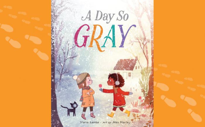A Day So Gray book cover