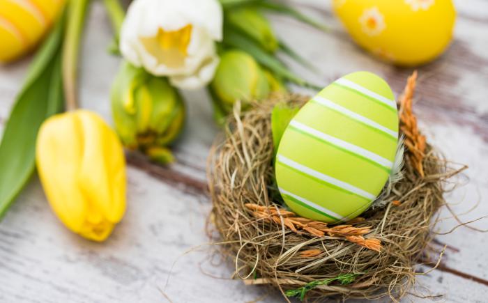 Tulips and a decorated egg in a bird's nest 