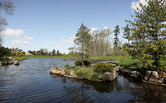 Japanese Garden at Dawes Arboretum