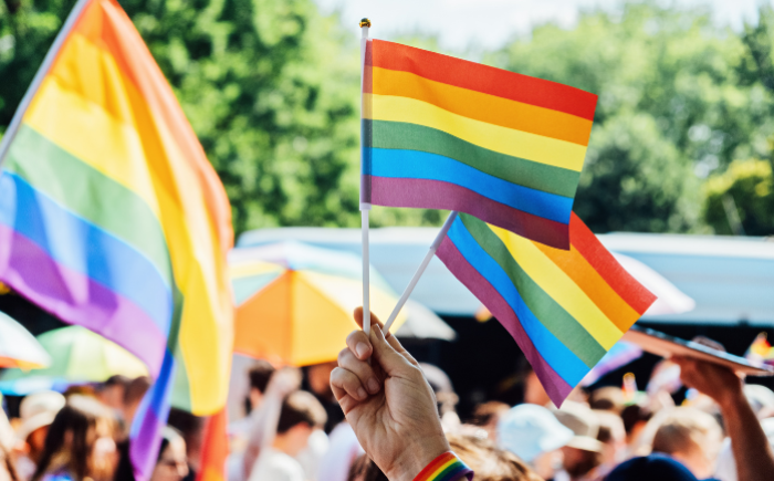 A crowd of people holding handheld Pride flags.