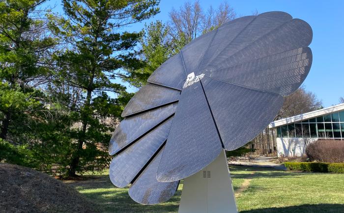Smartflower solar panels open to the sky on a sunny day