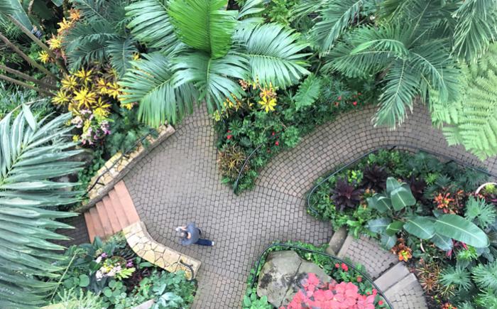 Pacific Island Water Garden at Franklin Park Conservatory and Botanical Gardens
