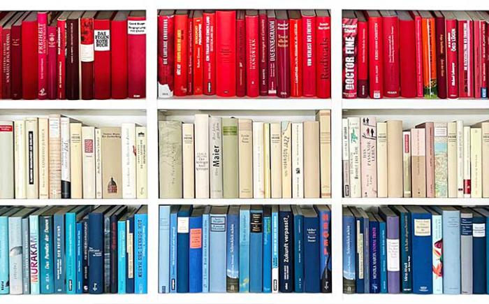 Red, white and blue books arranged on shelves