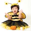 Young child in a bee costume