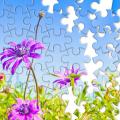 Jigsaw puzzle with missing pieces