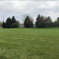 Wide grassy area with trees in the background