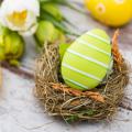Tulips beside a decorated egg in a bird's nest 