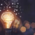 A lightbulb