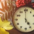 Autumn flora surrounds a clock displaying 5 o'clock