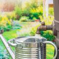 A watering can being refilled from a rain catching barrel next to a garden