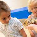Children looking at a lizard