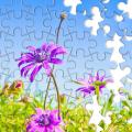 Jigsaw puzzle with missing pieces