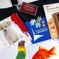 Contents of Memory Care Kit, including puzzles, crafts and games