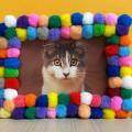 Picture frame edged with pom poms