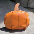A pumpkin