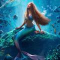 Image from The Little Mermaid DVD
