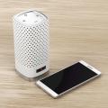 Smart speaker and smartphone