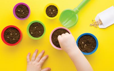 Small hands placing seeds in pots