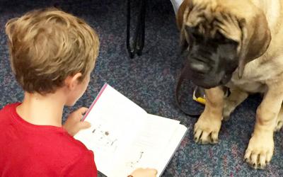 Child reading to a dog