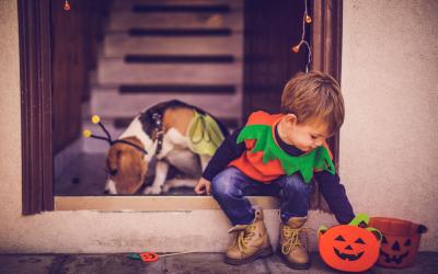 A child and dog in Halloween costumes