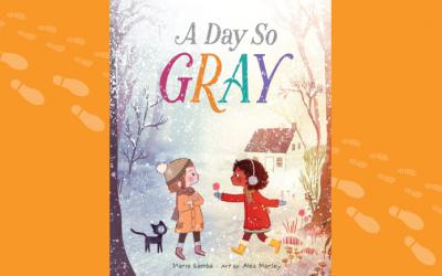 A Day So Gray book cover