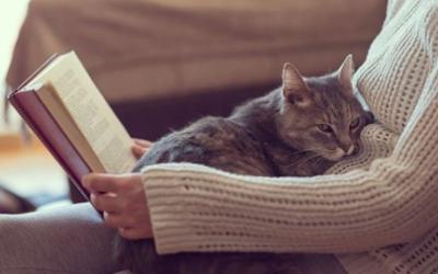 Woman in sweater reading book with cat cuddled in lap