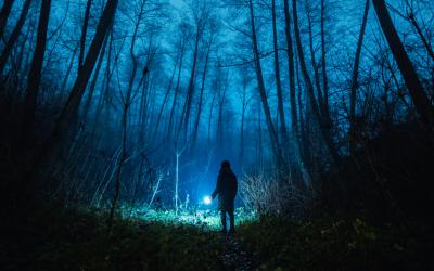 Person with flashlight in dark and eerie forest