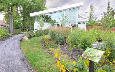 Poetry path outside Northwest Library