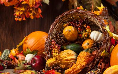 Wicker cornucopia filled with fall fruit and gourds