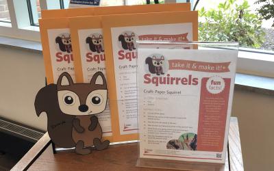 Squirrel craft kit