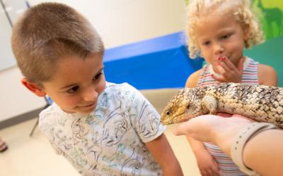 Children looking at a lizard