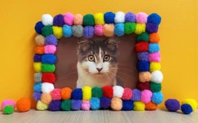 Picture frame edged with pom poms