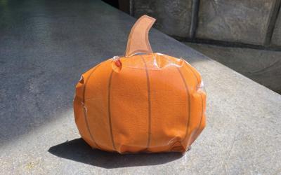 A pumpkin