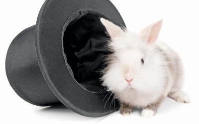 A rabbit next to a hat.