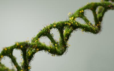 DNA strange covered with greenery and flowers